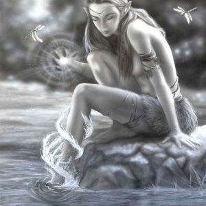 Water Nymth A3 Poster